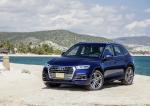 Audi Q5 TFSI Quattro S-Line 2016 года (WW)